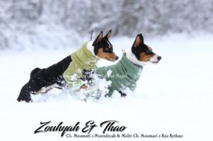 Zouhyah & Thao im Neuschnee
